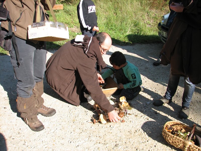 Mares au vinaigre 25